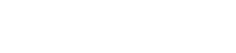 Leadoo logo