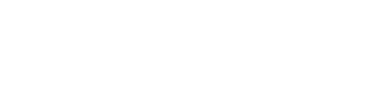 Verint logo