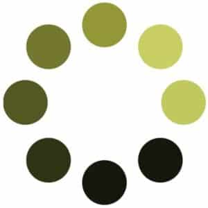 TRIMS connector icon