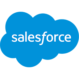 Salesforce Metadata connector icon