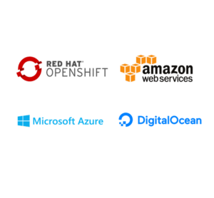 Available hosting options including AWS and Azure