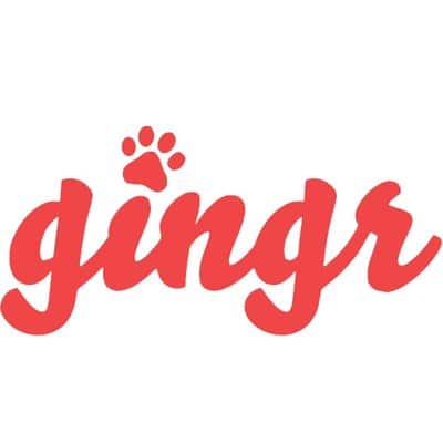 Gingr connector icon