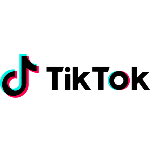 TikTok For Business connector icon