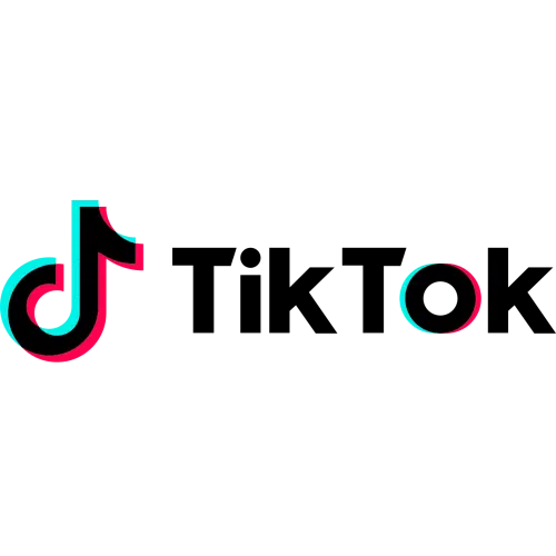 TikTok For Business connector icon